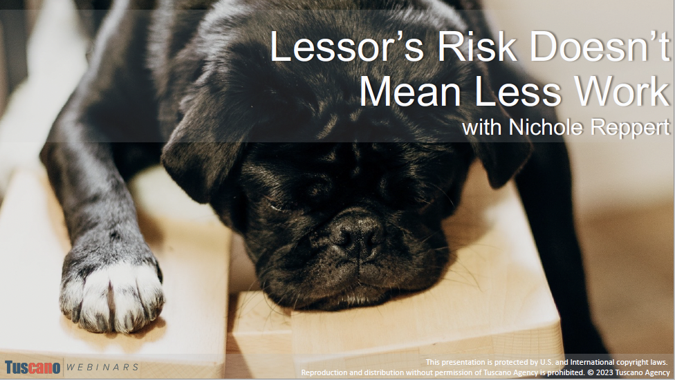 Lessor's Risk Doesn't Mean Less Work
